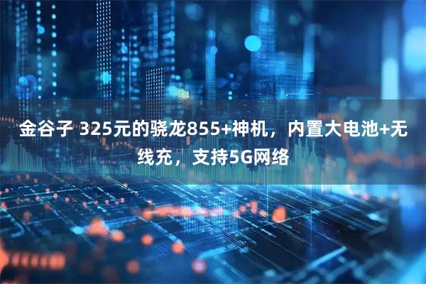 金谷子 325元的骁龙855+神机，内置大电池+无线充，支持5G网络