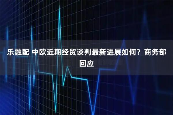 乐融配 中欧近期经贸谈判最新进展如何？商务部回应